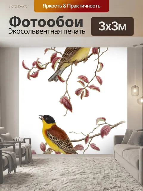 Фотообои Иллюстрация винтажного искусства птиц