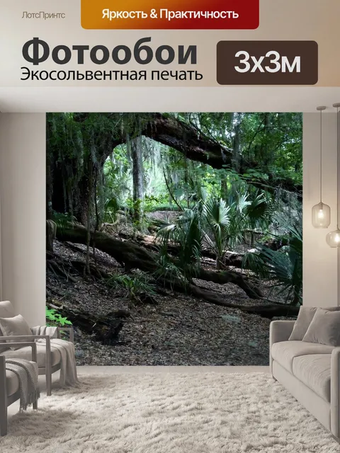 Фотообои Джунгли