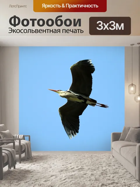 Фотообои Серая цапля