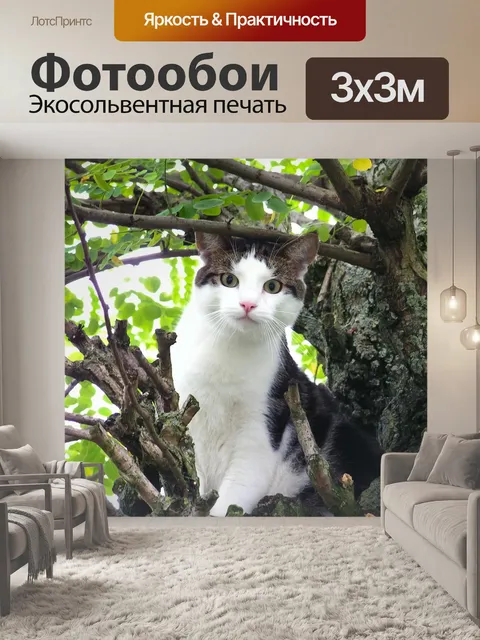 Фотообои Кошка