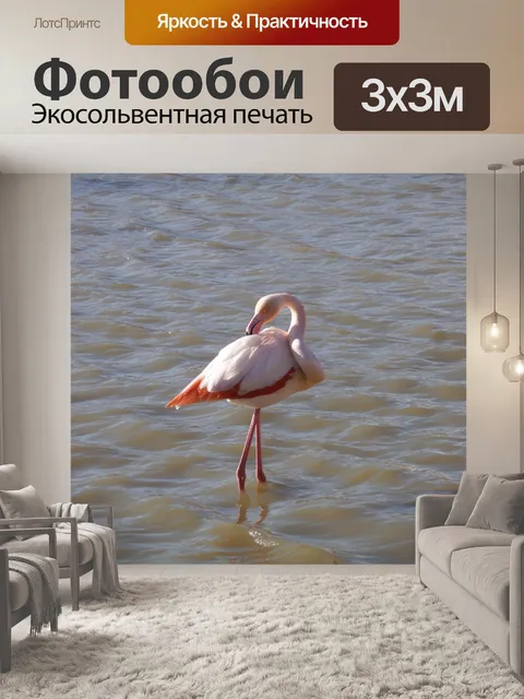 Фотообои Камарг