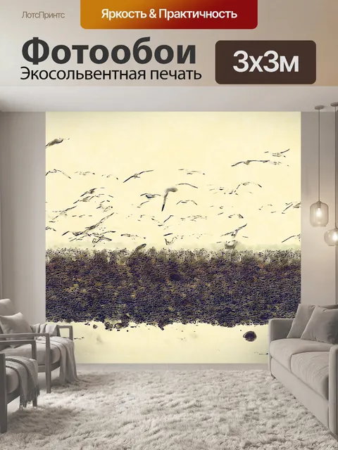 Фотообои Морские Птицы
