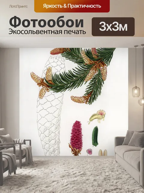 Фотообои Сосновые ветки шишки винтаж старые