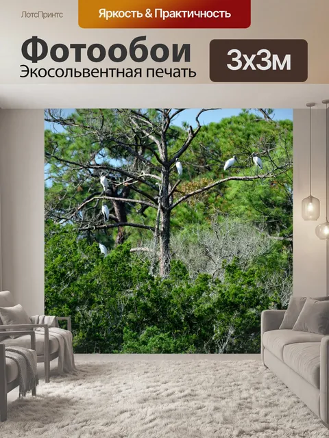 Фотообои История деревянных аистов