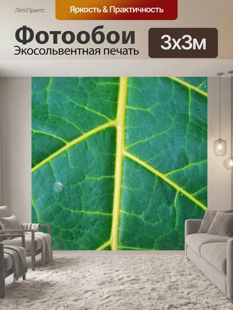 Фотообои Зеленый лист с прожилками