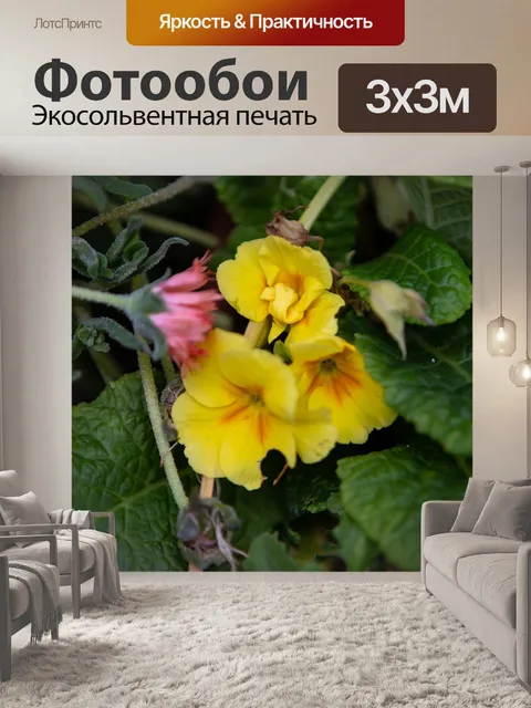 Фотообои Первоцвет