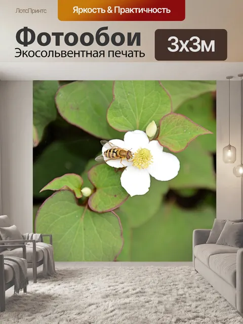 Фотообои Цветы и пчелы