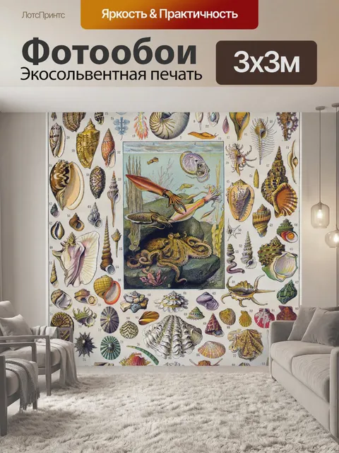Фотообои Ракушки осьминога винтажное искусство