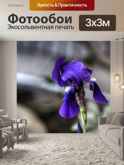 Фотообои Фиолетовый ирис