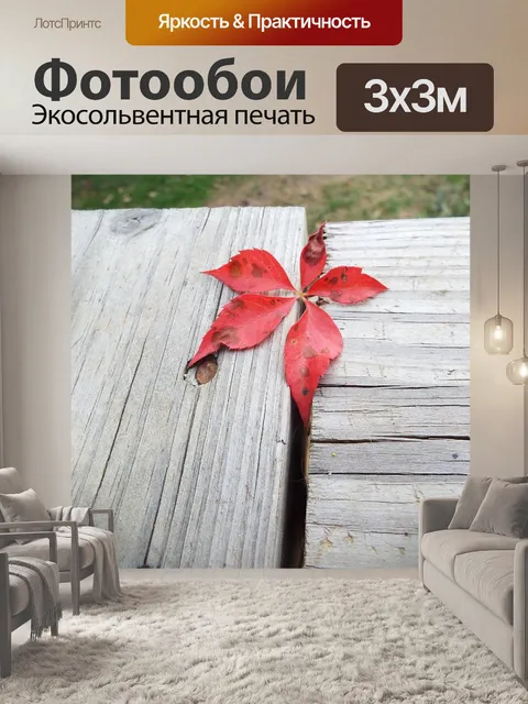Фотообои Древесина