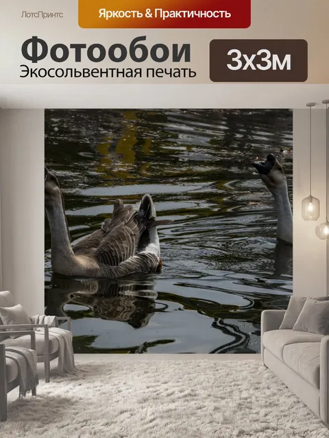 Фотообои Два коричневых китайских гуся