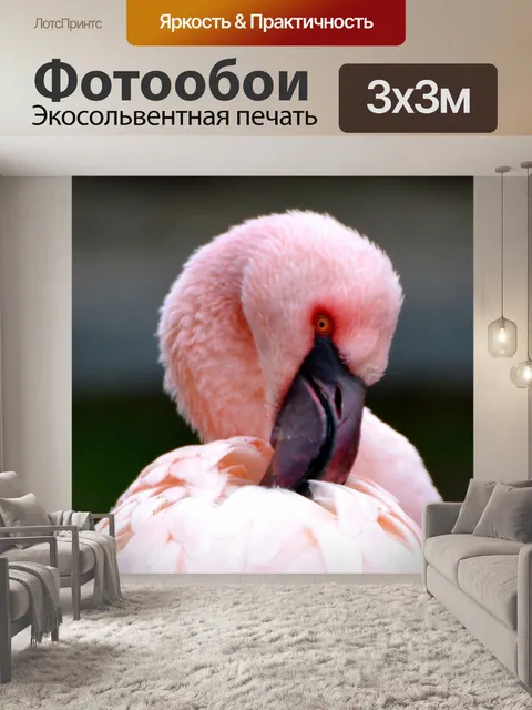 Фотообои Фламинго