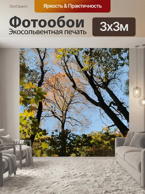 Фотообои Осень