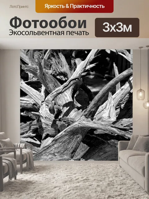 Фотообои Фон дрифтвуда