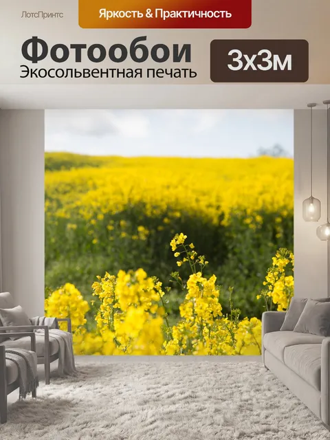 Фотообои Область желтого рапса