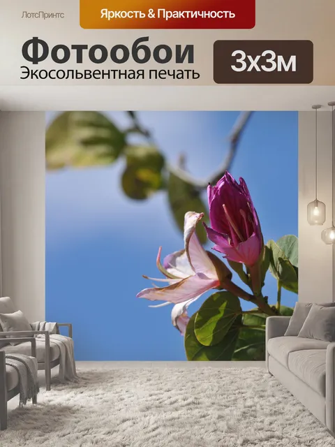 Фотообои Orchard цветет