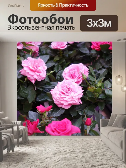 Фотообои розы