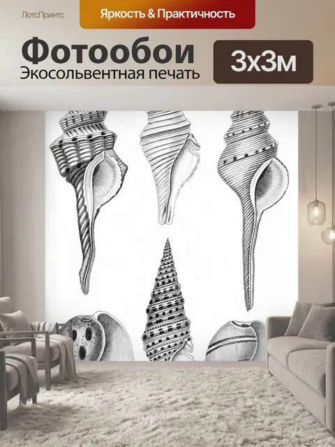 Фотообои Клипарт ракушки винтажное искусство