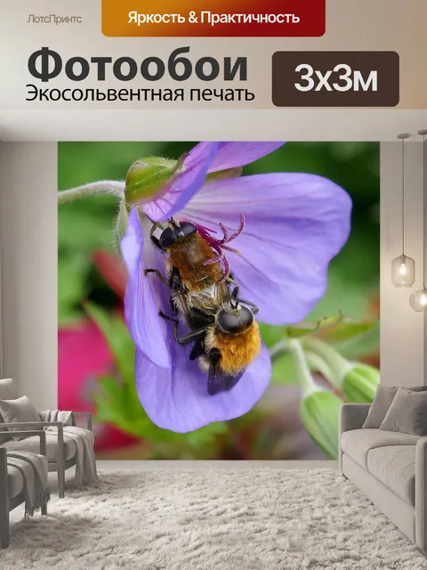 Фотообои Пчелы