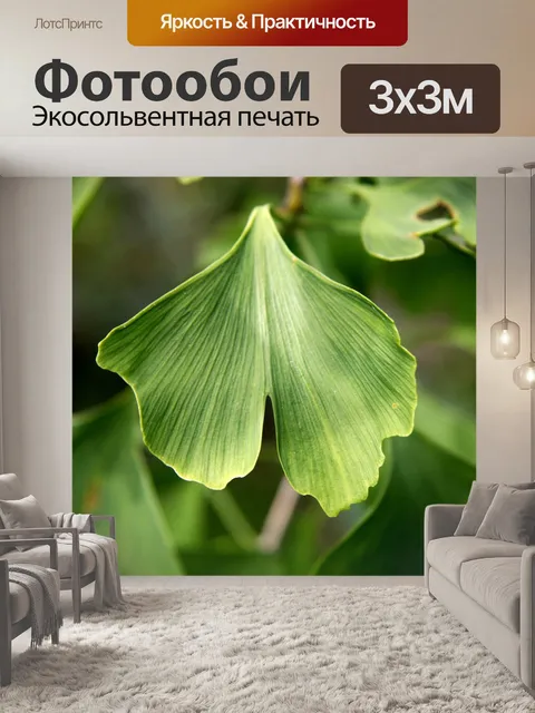 Фотообои Гинкго билоба
