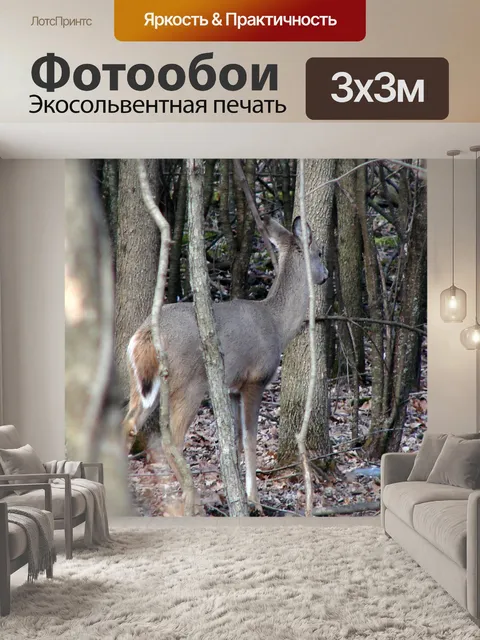 Фотообои Белый олень