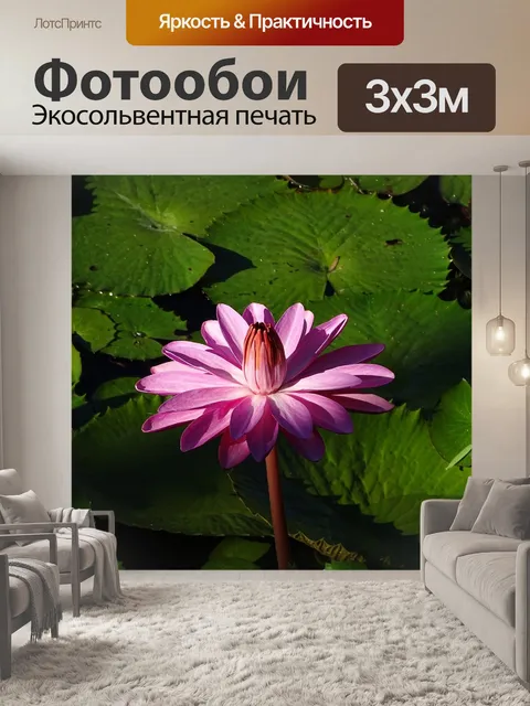 Фотообои Водяная лилия