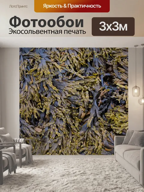 Фотообои Водоросли