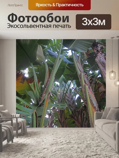 Фотообои банановые деревья