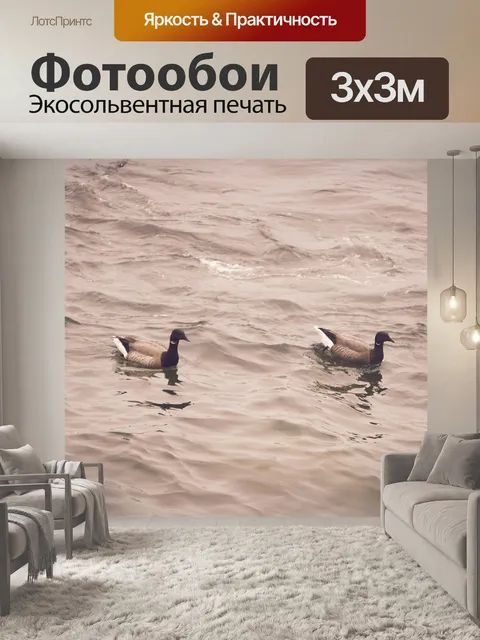 Фотообои Дикие гуси на воде