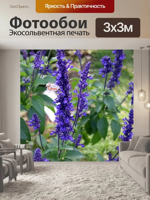 Фотообои Лаванда