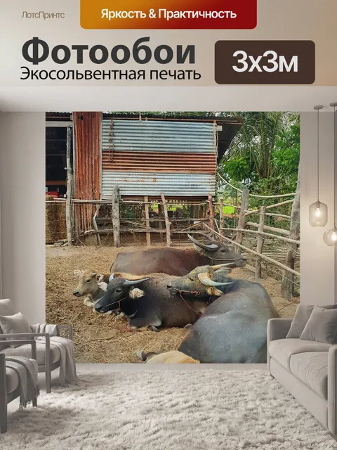 Фотообои К северо-востоку