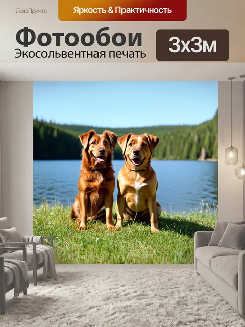 Фотообои собаки рядом с красивым озером