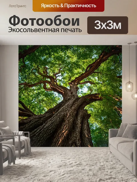 Фотообои кривые деревья, иной раз как будто обменивающиеся секретами