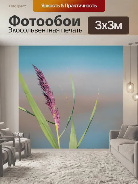 Фотообои Трава, травинка, декоративная трава