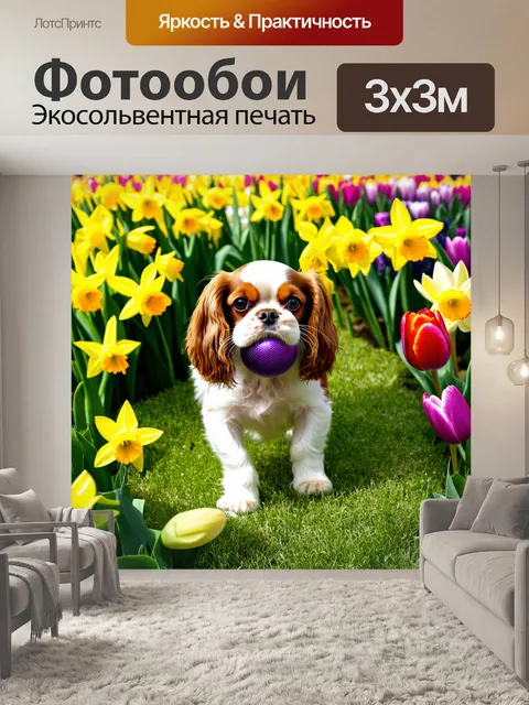 Фотообои радостный кавалер кинг чарльз спаниель с мячом в зубах исследует весенний сад
