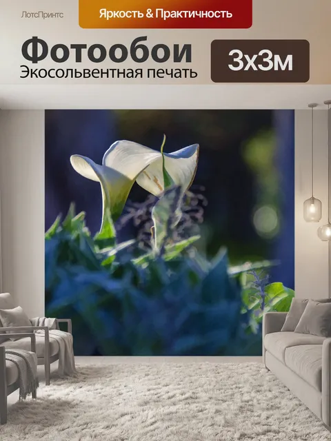 Фотообои Цветы белой лилии