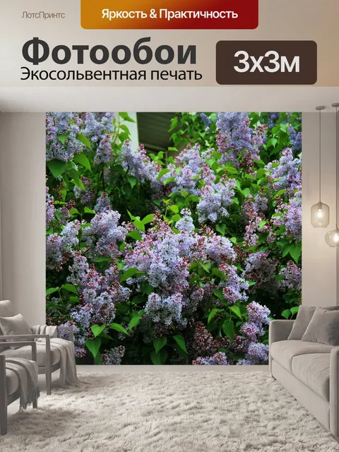 Фотообои фиолетовые соцветий, москва