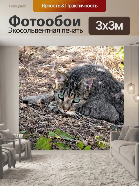Фотообои Природа