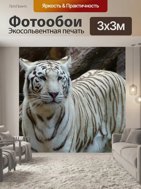 Фотообои Белый бенгальский тигр
