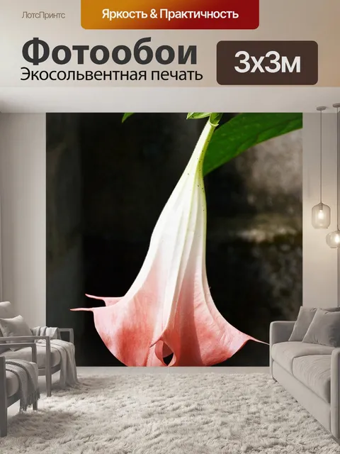 Фотообои Большой цветок