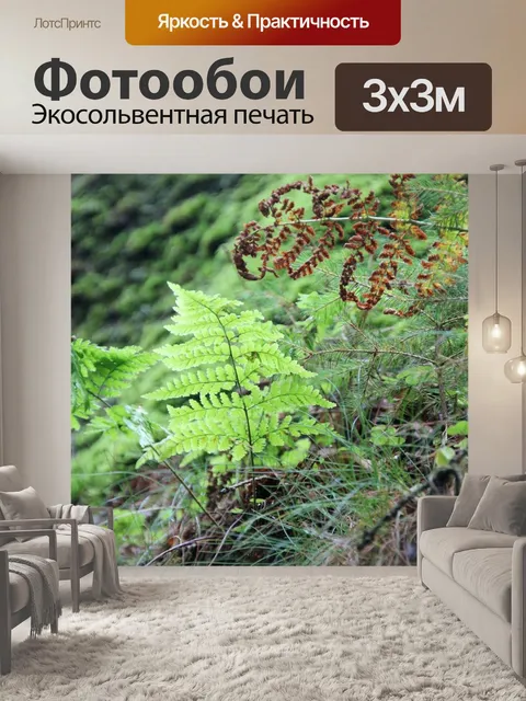 Фотообои Папоротник