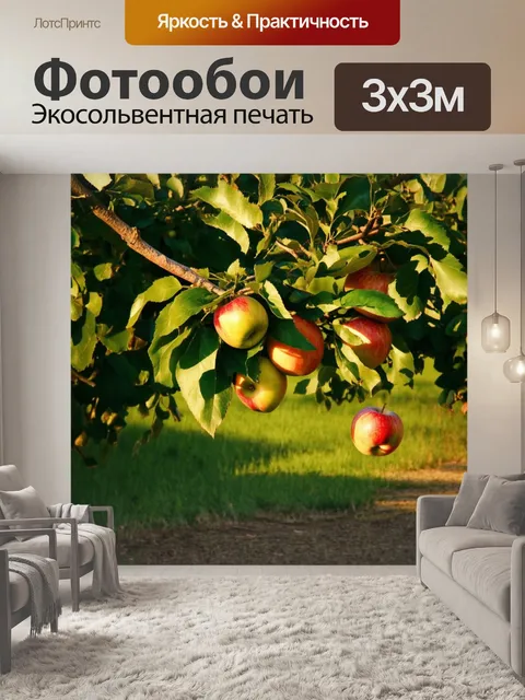 Фотообои растение с зелеными листиками и созревающими яблоками на ветвях