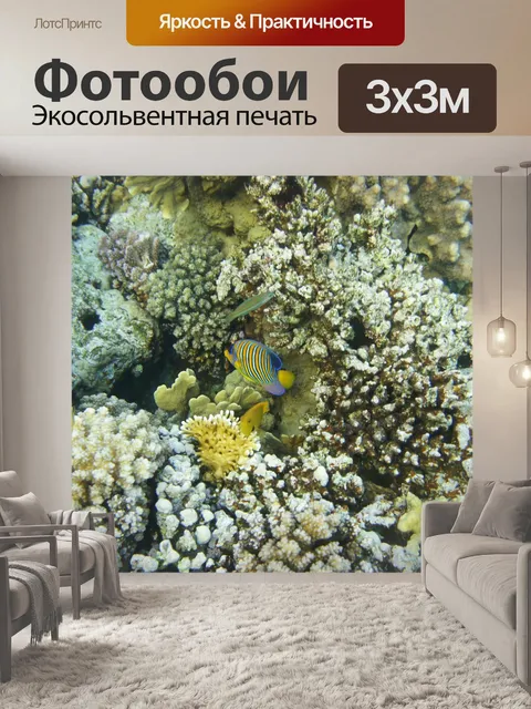 Фотообои Красное море