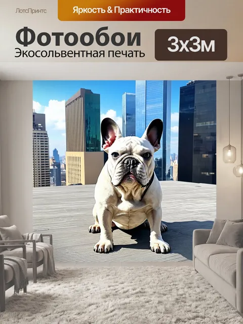 Фотообои французский бульдог, находятся на крыше небоскреба в большом городе, смотрит на панораму