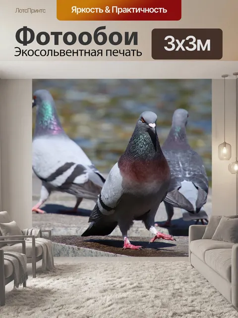 Фотообои Три