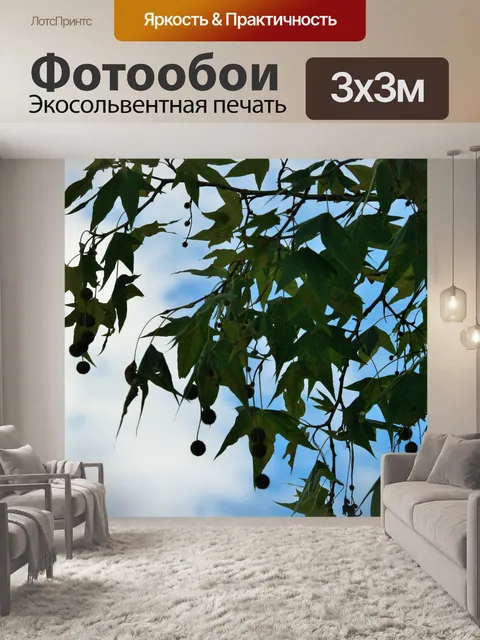 Фотообои клен листья деревьев