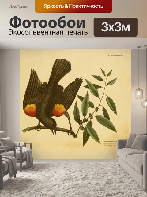 Фотообои Винтажное Искусство Птицы Скворец