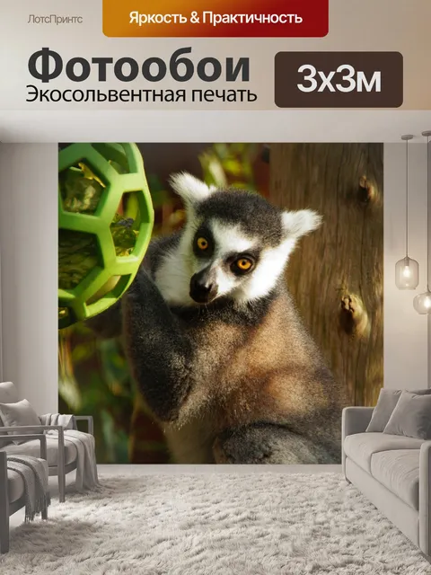 Фотообои Кольцевидный лемур лемур примат обезьяна