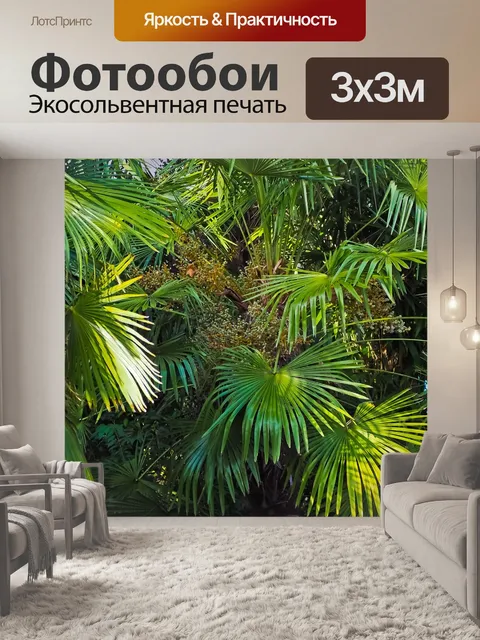 Фотообои Пальмы