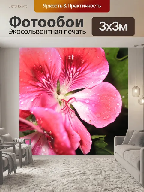 Фотообои Розовая Зебра герани 2